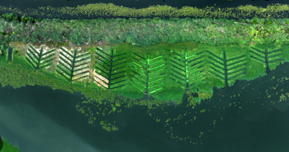United Nations Environment Programme 
